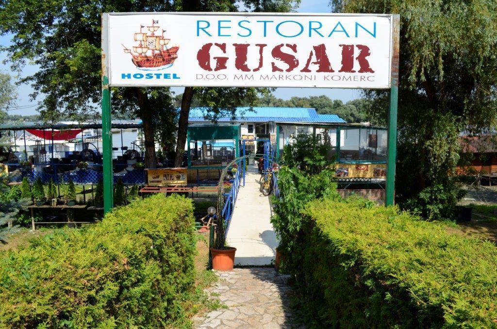 Splav Guest Hause Gusar Hotel Belgrád Kültér fotó